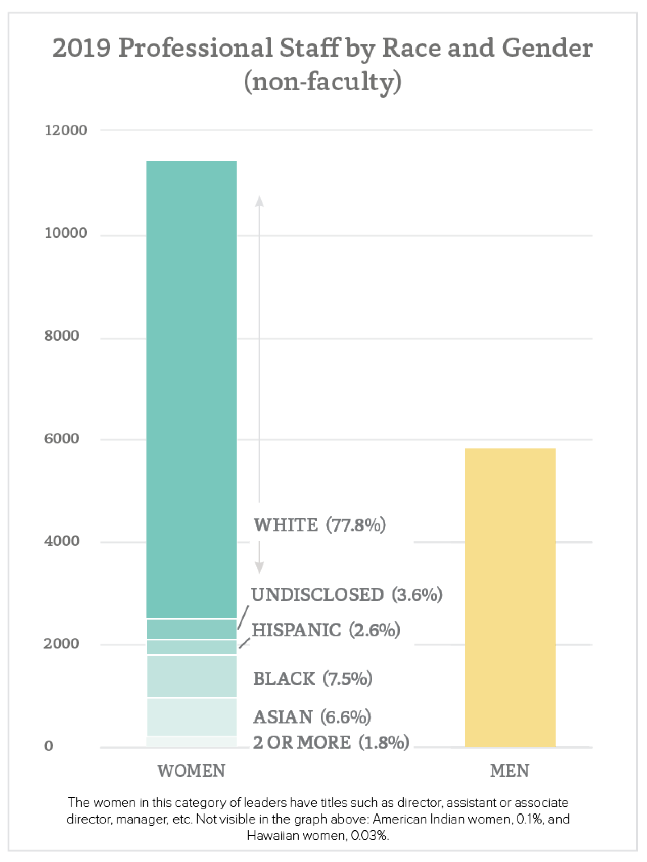 Chart showing data on Professional Staff by Gender and Race 2020