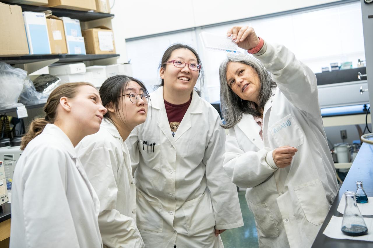 Woman professor in white lab coat with lab materials in the background holds up sample for three female students to see