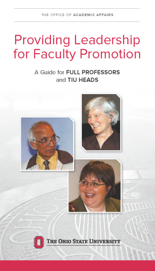 Guide for full professors and TIU chairs/directors