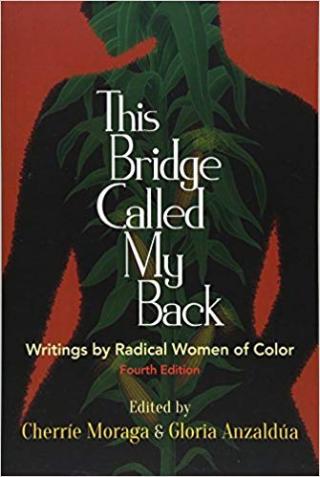 Cover graphic of This Bridge Called My Back book